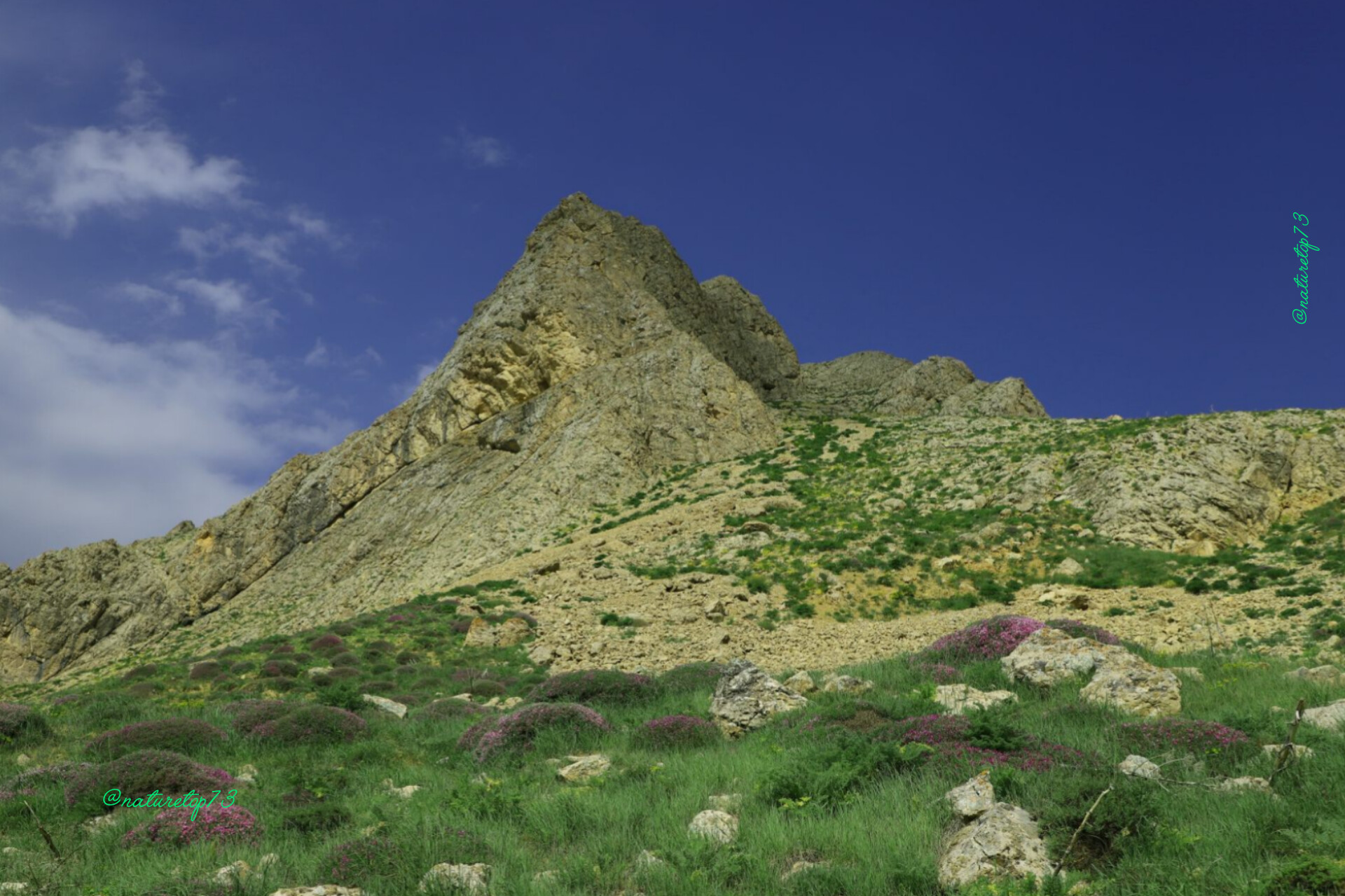 Mountain View 6
