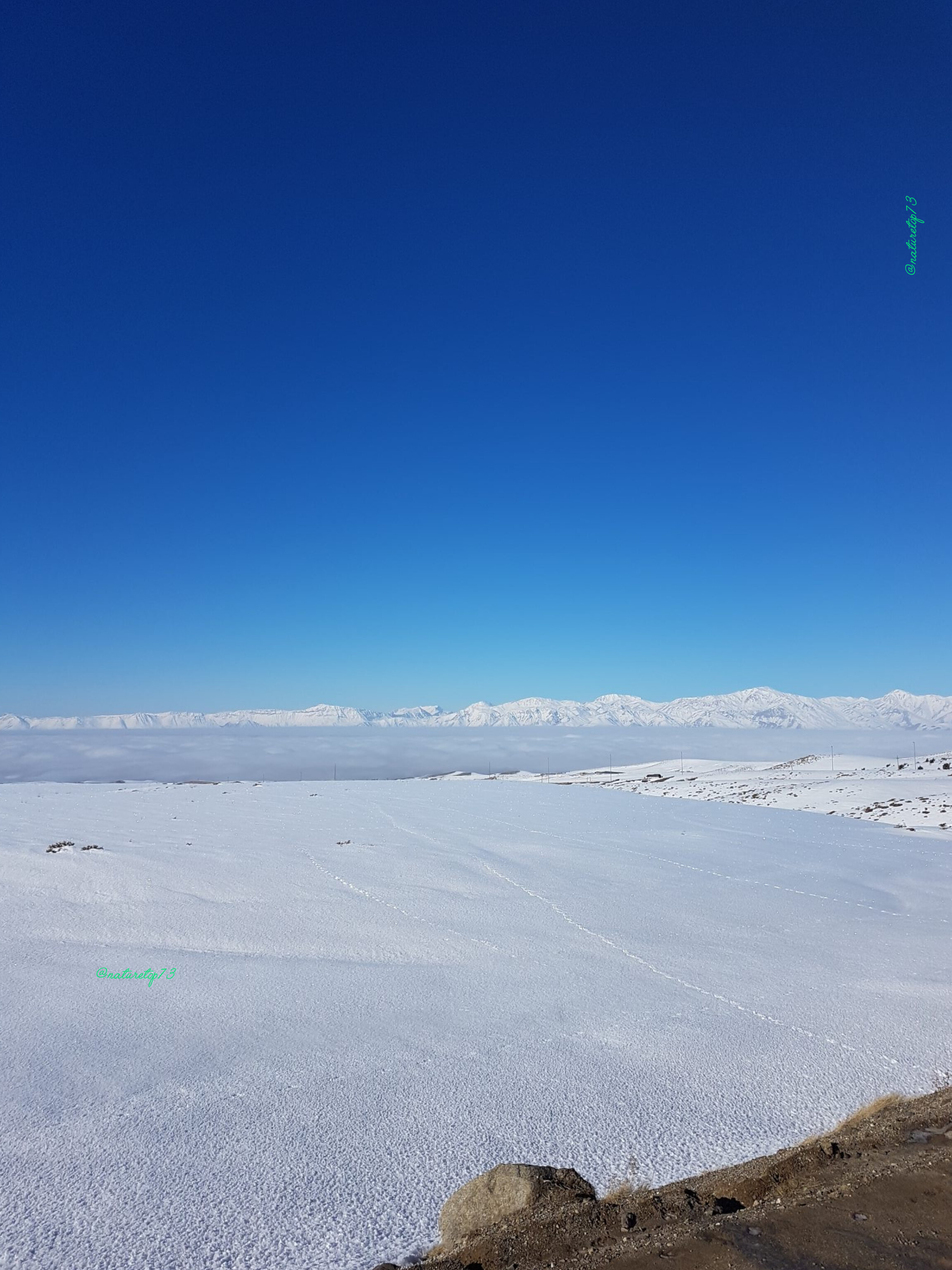 Winter 1